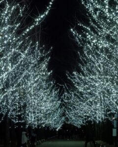 学びの森、イルミネーション、12月、冬、岐阜県各務原市の観光・撮影スポットの画像と写真