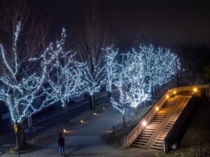 学びの森、イルミネーション、12月、冬、岐阜県各務原市の観光・撮影スポットの画像と写真