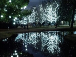 学びの森、イルミネーション、12月、冬、岐阜県各務原市の観光・撮影スポットの画像と写真