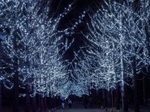 学びの森、イルミネーション、12月、冬、岐阜県各務原市の観光・撮影スポットの画像と写真