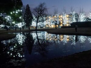 学びの森、イルミネーション、12月、冬、岐阜県各務原市の観光・撮影スポットの画像と写真