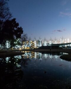 学びの森、イルミネーション、12月、冬、岐阜県各務原市の観光・撮影スポットの画像と写真