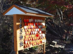 富士山パノラマロープウェイ 、河口湖、、紅葉、11月秋、山梨県南都留郡の観光・撮影スポットの名所