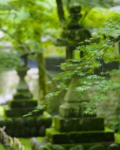 法多山尊永寺、新緑、6月夏、静岡県袋井市の観光・撮影スポットの名所