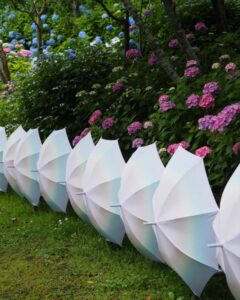 法多山尊永寺、あじさい・アンブレラ、6月夏、静岡県袋井市の観光・撮影スポットの名所