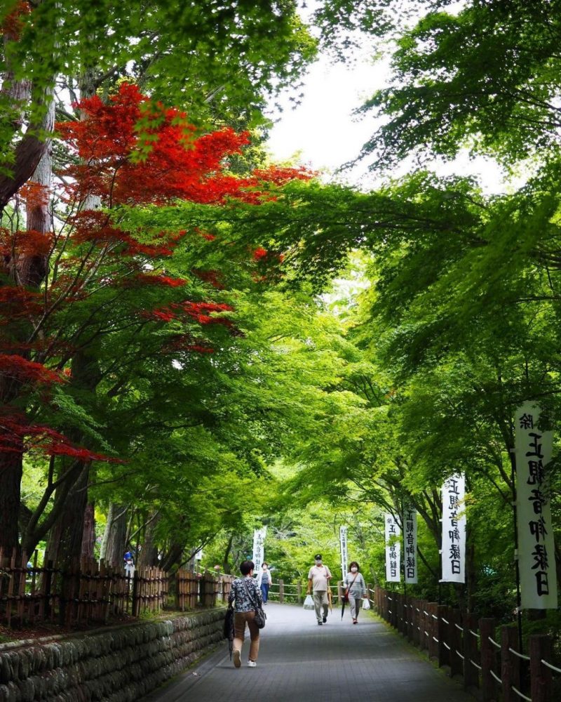 法多山尊永寺、新緑、6月夏、静岡県袋井市の観光・撮影スポットの名所