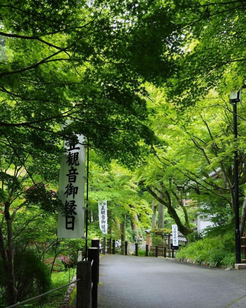 法多山尊永寺、新緑、6月夏、静岡県袋井市の観光・撮影スポットの名所