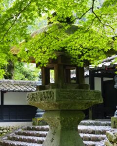 法多山尊永寺、新緑、6月夏、静岡県袋井市の観光・撮影スポットの名所