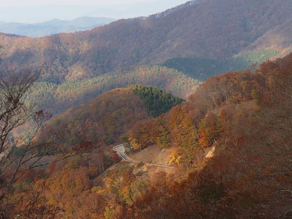 小入谷、紅葉、11月秋、滋賀県高島市の観光・撮影スポットの名所