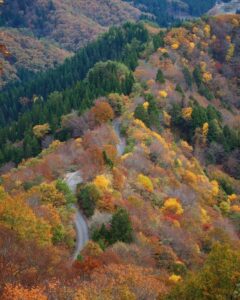 小入谷、紅葉、11月秋、滋賀県高島市の観光・撮影スポットの名所