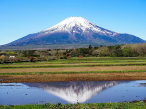 山中湖花の都公園、富士山、４月春、山梨県南都留郡の観光・撮影スポットの名所