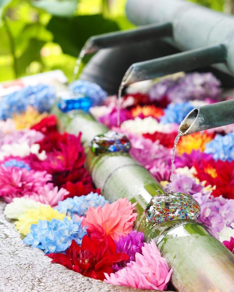 岡寺、花手水舎、あじさい、６月夏の花、奈良県高市郡の観光・撮影スポットの名所