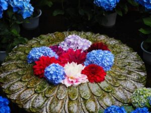 岡寺、花手水舎、あじさい、６月夏の花、奈良県高市郡の観光・撮影スポットの名所