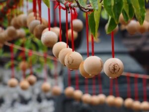 岡寺、あじさい、６月夏の花、奈良県高市郡の観光・撮影スポットの名所