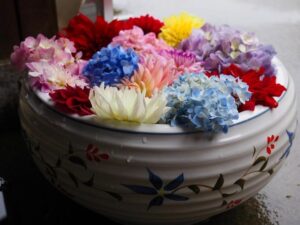 岡寺、花手水舎、あじさい、６月夏の花、奈良県高市郡の観光・撮影スポットの名所