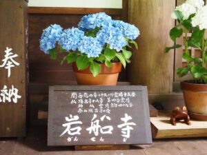 岩船寺 、あじさい、夏景色、新緑、6月夏、京都府京都市の観光・撮影スポットの名所