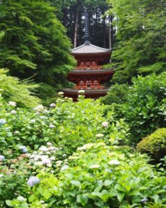 岩船寺 、あじさい、夏景色、新緑、6月夏、京都府京都市の観光・撮影スポットの名所