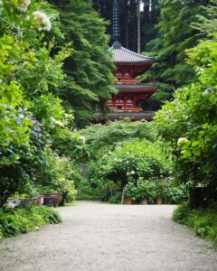 岩船寺 、あじさい、夏景色、新緑、6月夏、京都府京都市の観光・撮影スポットの名所