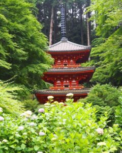 岩船寺 、あじさい、夏景色、新緑、6月夏、京都府京都市の観光・撮影スポットの名所