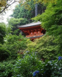 岩船寺 、あじさい、夏景色、新緑、6月夏、京都府京都市の観光・撮影スポットの名所