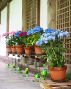 岩船寺 、あじさい、夏景色、新緑、6月夏、京都府京都市の観光・撮影スポットの名所