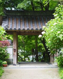 岩船寺 、あじさい、夏景色、新緑、6月夏、京都府京都市の観光・撮影スポットの名所
