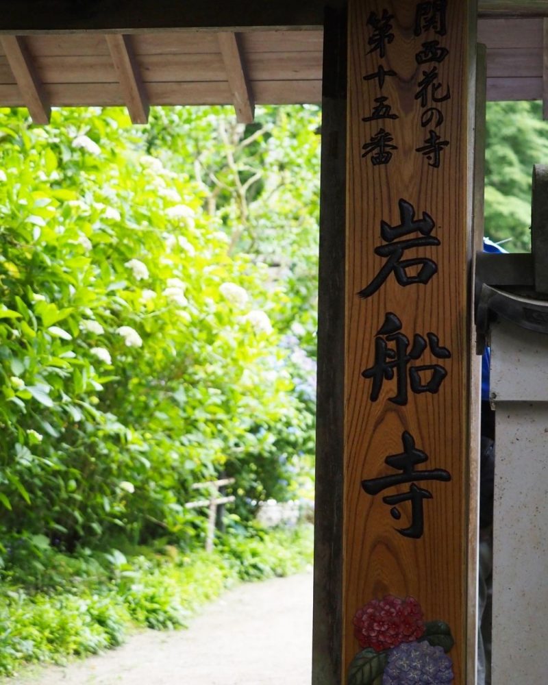 岩船寺 、夏景色、新緑、6月夏、京都府京都市の観光・撮影スポットの名所