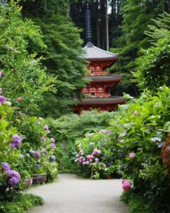岩船寺 、あじさい、夏景色、新緑、6月夏、京都府京都市の観光・撮影スポットの名所