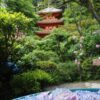 岩船寺 、あじさい、夏景色、新緑、6月夏、京都府京都市の観光・撮影スポットの名所