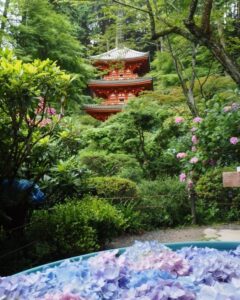 岩船寺 、あじさい、夏景色、新緑、6月夏、京都府京都市の観光・撮影スポットの名所