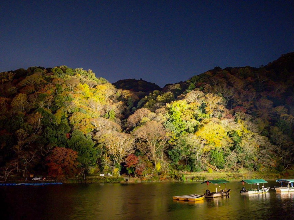 嵯峨嵐山 渡月橋、紅葉ライトアップ、日本庭園、11月秋、京都府京都市の観光・撮影スポットの名所