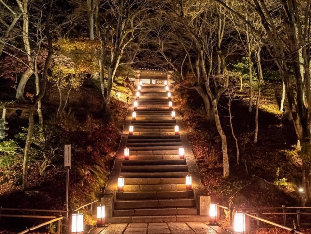 嵯峨嵐山 花灯路、ライトアップ、12月冬、京都府京都市の観光・撮影スポットの名所