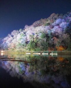 嵯峨嵐山 花灯路、渡月橋、ライトアップ、12月冬、京都府京都市の観光・撮影スポットの名所