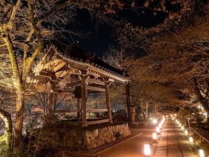 嵯峨嵐山 花灯路、ライトアップ、12月冬、京都府京都市の観光・撮影スポットの名所