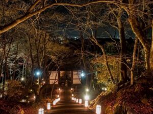 嵯峨嵐山 花灯路、ライトアップ、12月冬、京都府京都市の観光・撮影スポットの名所