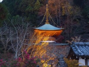 嵯峨嵐山 花灯路、ライトアップ、12月冬、京都府京都市の観光・撮影スポットの名所