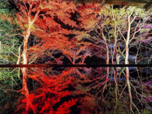 嵯峨（さが）嵐山 祐齋亭、紅葉ライトアップ、日本庭園、11月秋、京都府京都市の観光・撮影スポットの名所