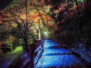 嵯峨（さが）嵐山 祐齋亭、紅葉ライトアップ、日本庭園、11月秋、京都府京都市の観光・撮影スポットの名所