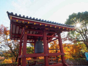 平等院鳳凰堂 、紅葉、11月秋、京都府宇治市の観光・撮影スポットの名所