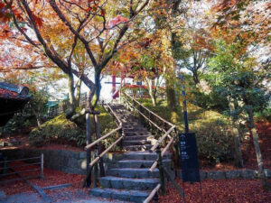 平等院鳳凰堂 、紅葉、11月秋、京都府宇治市の観光・撮影スポットの名所