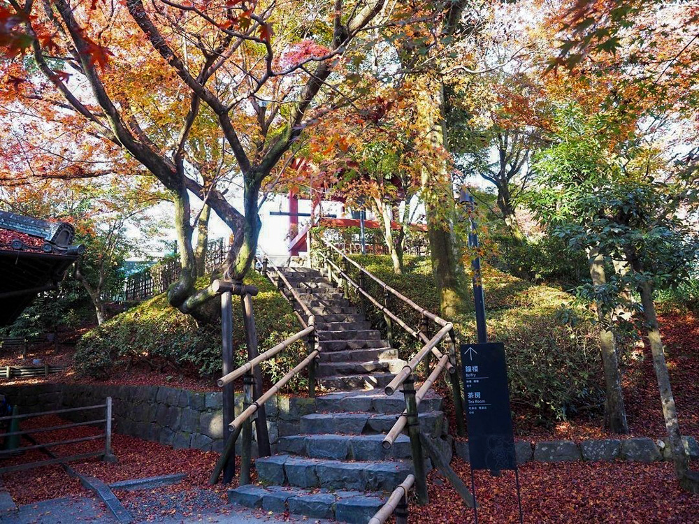 平等院鳳凰堂 、紅葉、11月秋、京都府宇治市の観光・撮影スポットの名所