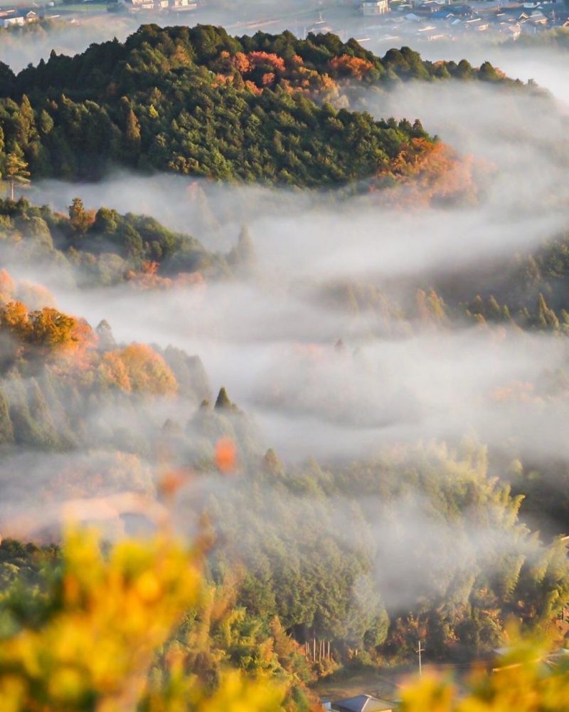 庚申山展望台、雲海、11月秋、滋賀県甲賀市の観光・撮影スポットの名所