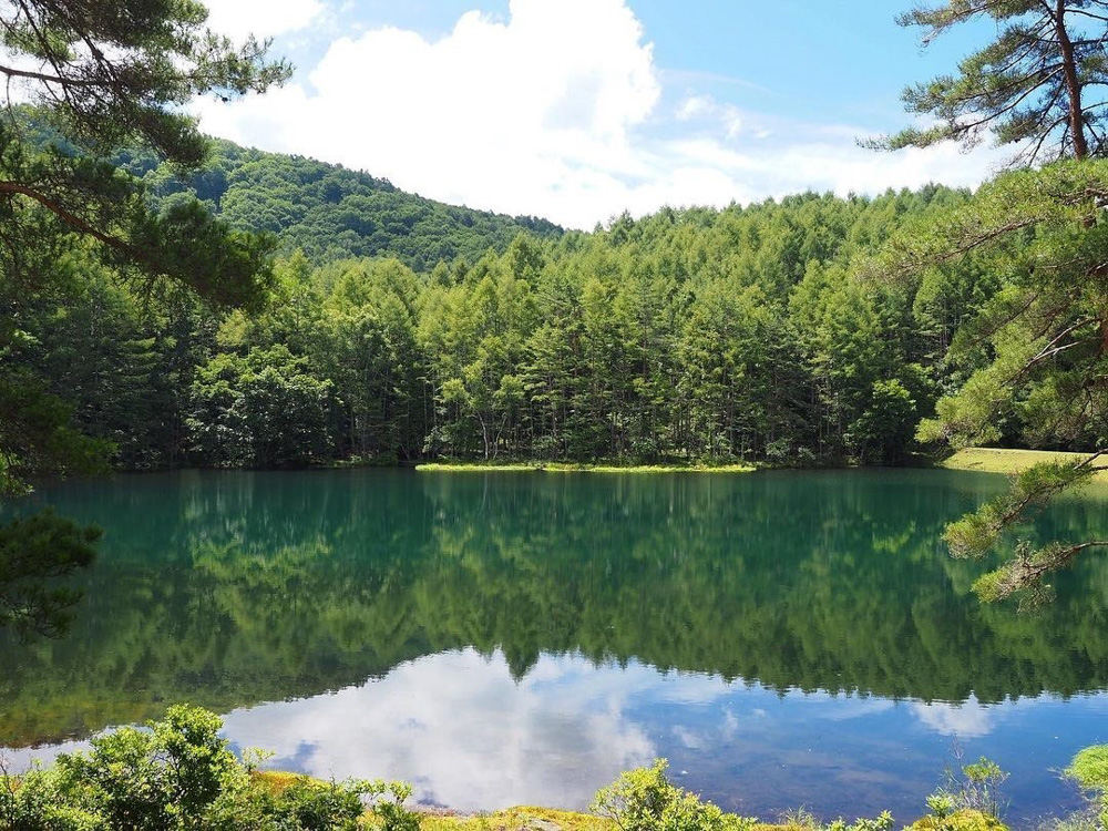 御射鹿池、新緑、夏景色　水景色、夏、8月夏、長野県茅野市の観光・撮影スポットの名所