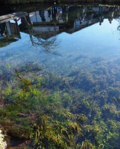 忍野八海 、11月秋、山梨県南都留郡の観光・撮影スポットの名所