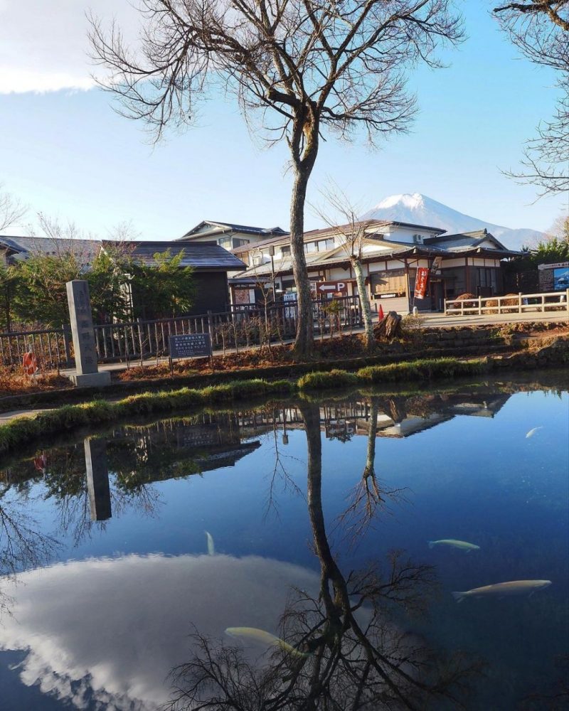 忍野八海 、富士山、11月秋、山梨県南都留郡の観光・撮影スポットの名所