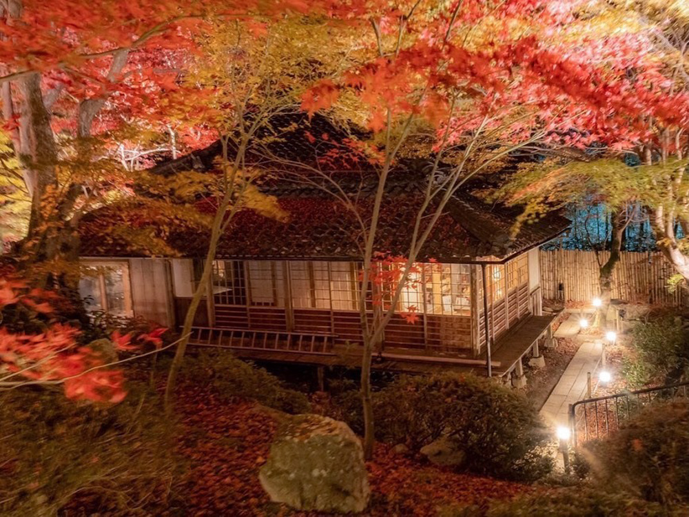 教林坊 、紅葉、ライトアップ、11月秋、滋賀県近江八幡市の観光・撮影スポットの名所