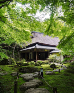 教林坊 、夏景色、新緑、もみじ、6月夏、滋賀県近江八幡市の観光・撮影スポットの名所