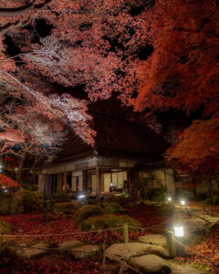 教林坊 、紅葉、ライトアップ、11月秋、滋賀県近江八幡市の観光・撮影スポットの名所