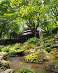 教林坊 、夏景色、新緑、もみじ、6月夏、滋賀県近江八幡市の観光・撮影スポットの名所