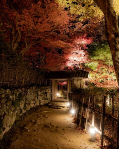 教林坊 、紅葉、ライトアップ、11月秋、滋賀県近江八幡市の観光・撮影スポットの名所